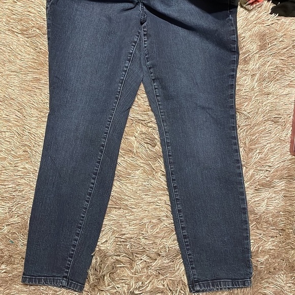 Torrid Denim Skinny Jeans - Picture 6 of 9